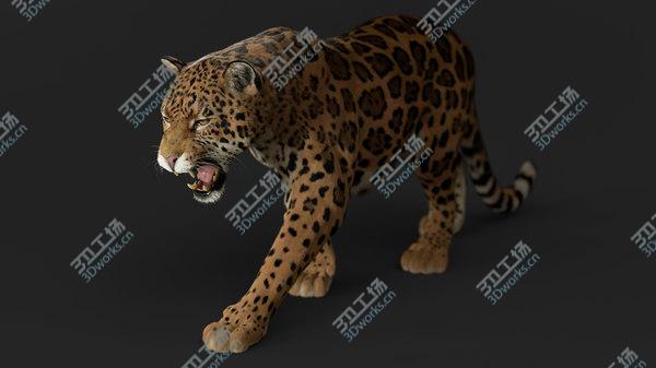 images/goods_img/20210312/3D Jaguar FUR RIGGED/2.jpg